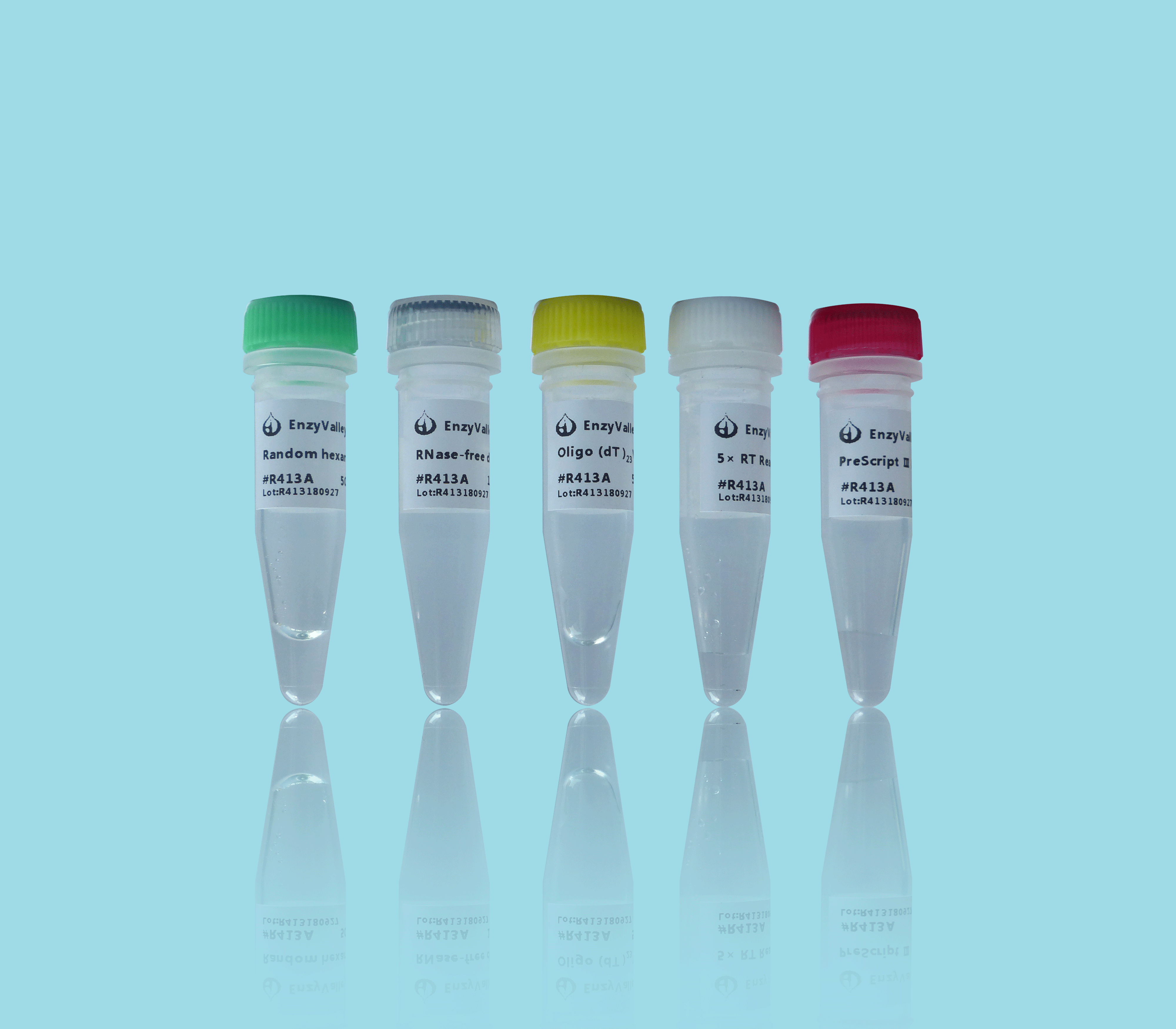 Robust First Strand cDNA Synthesis Kit