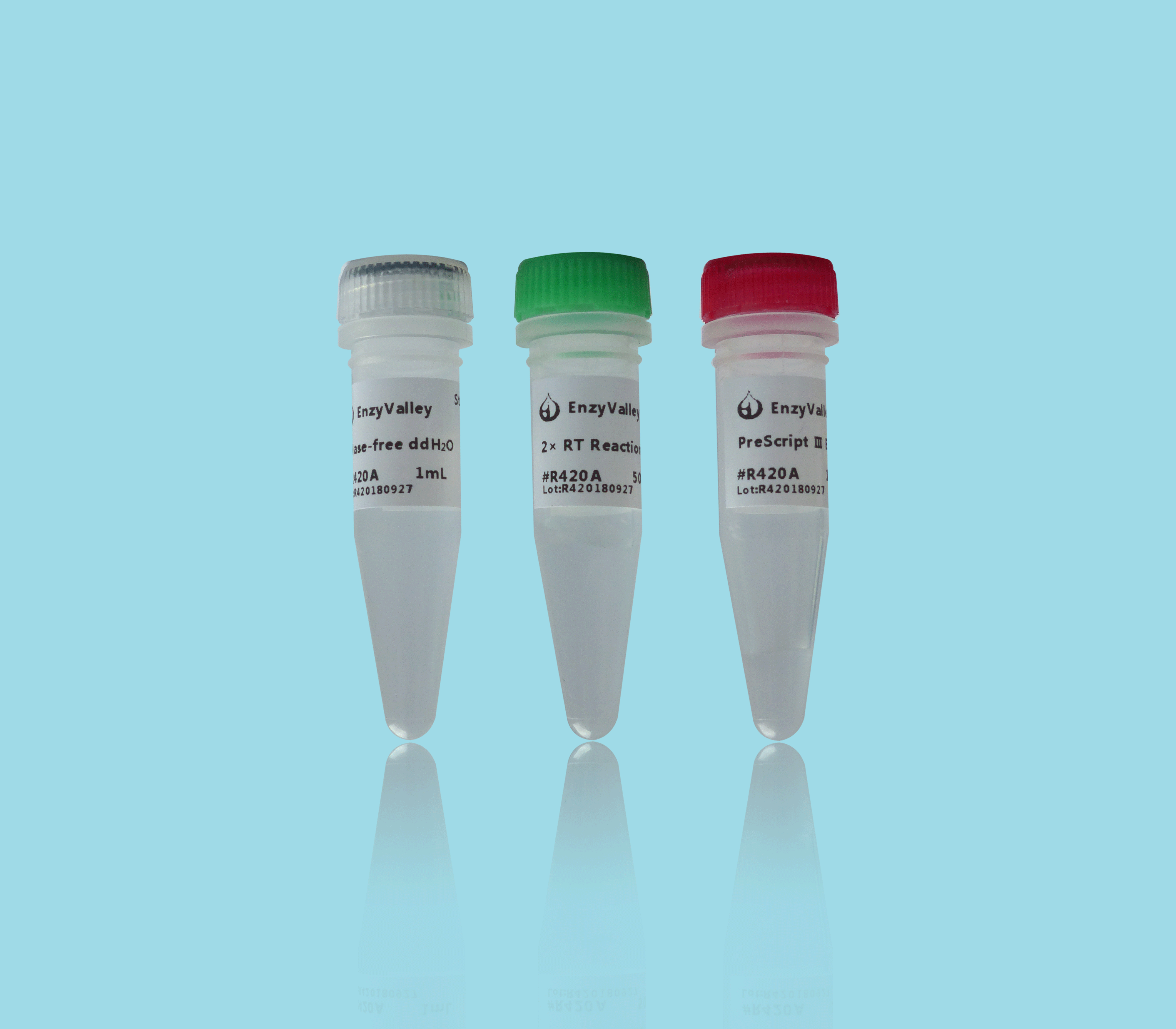  Vaccinia virus Capping Enzyme