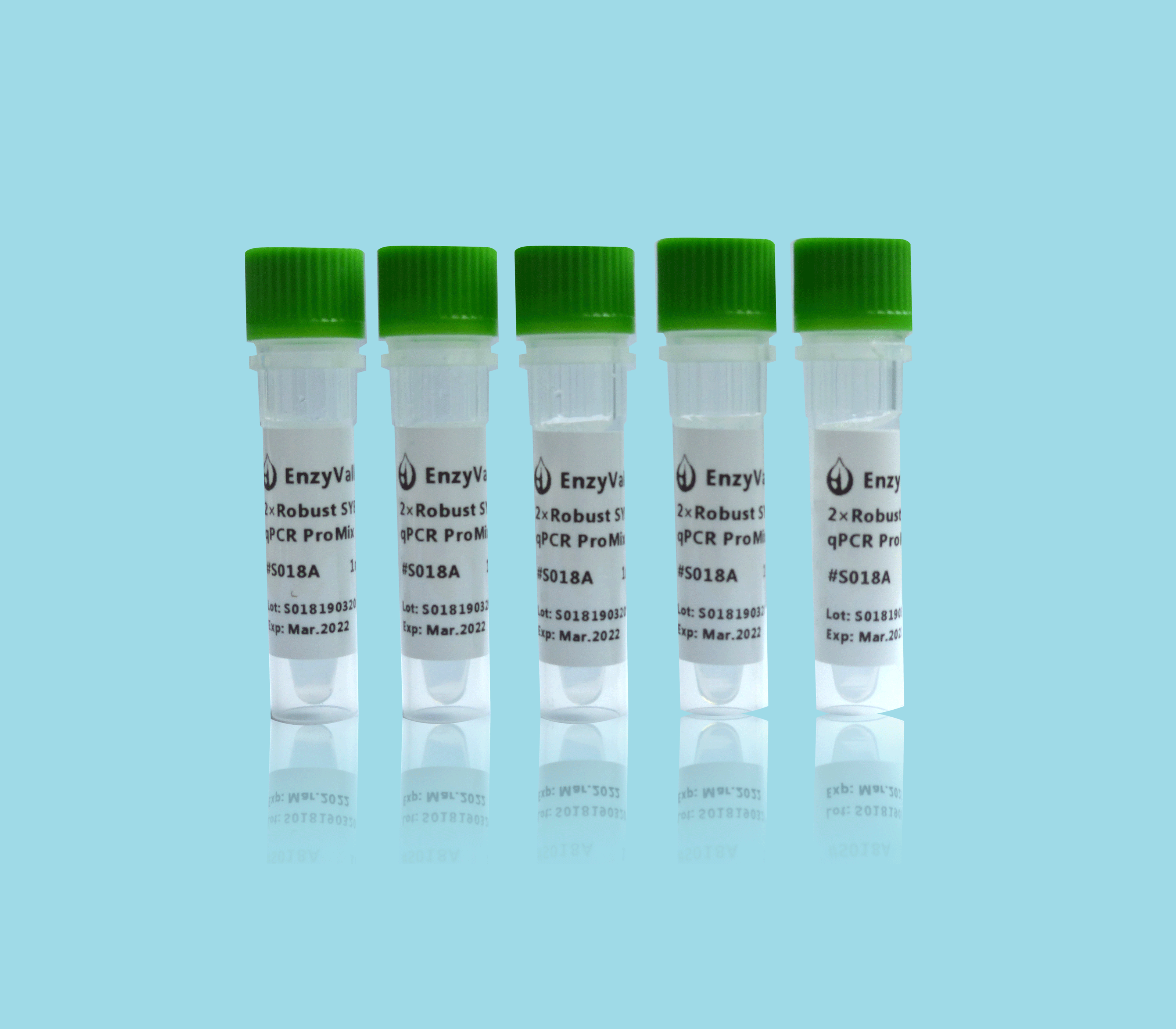 2× Robust SYBR Green qPCR ProMix