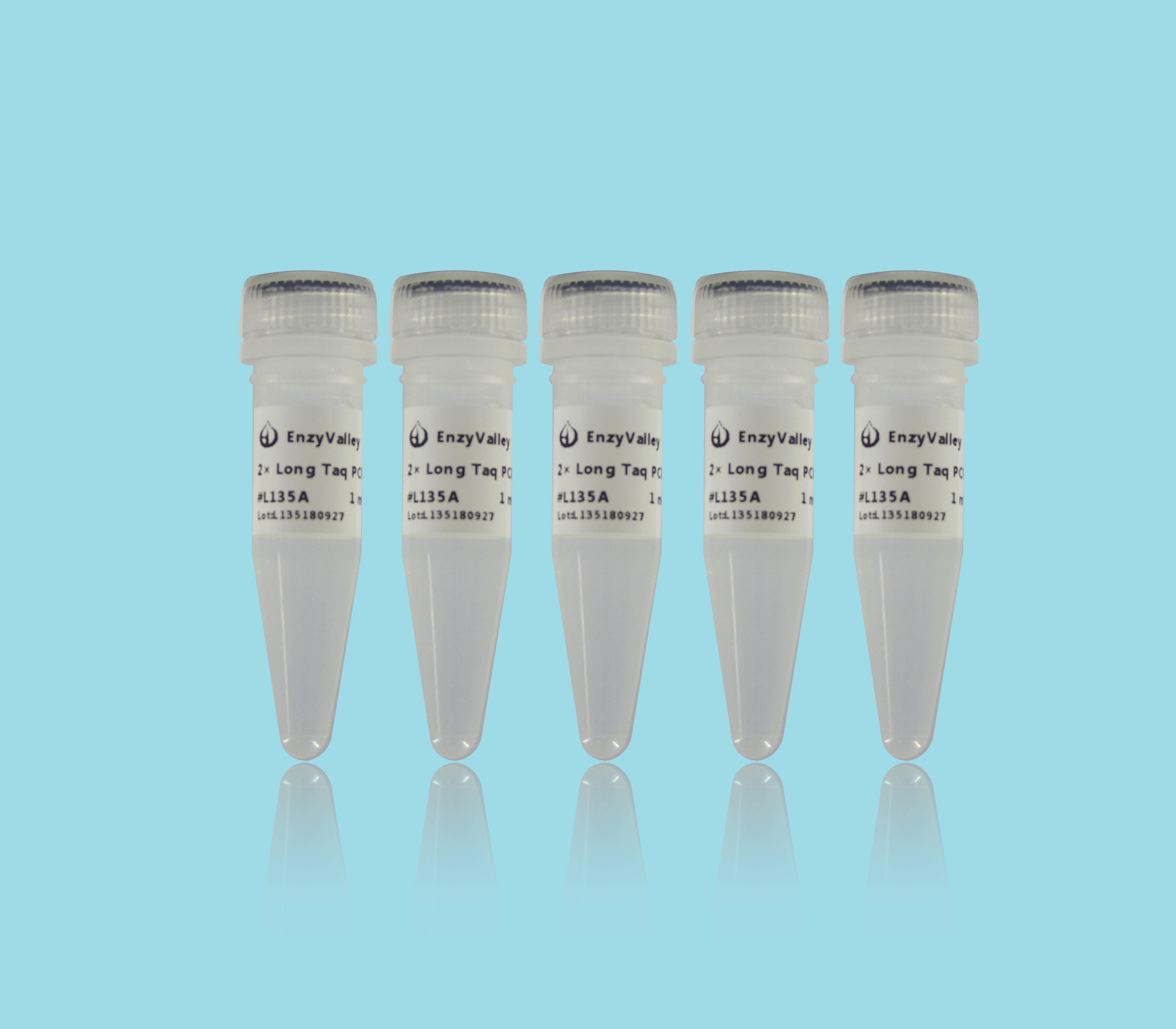 2× Long Taq PCR ProMix
