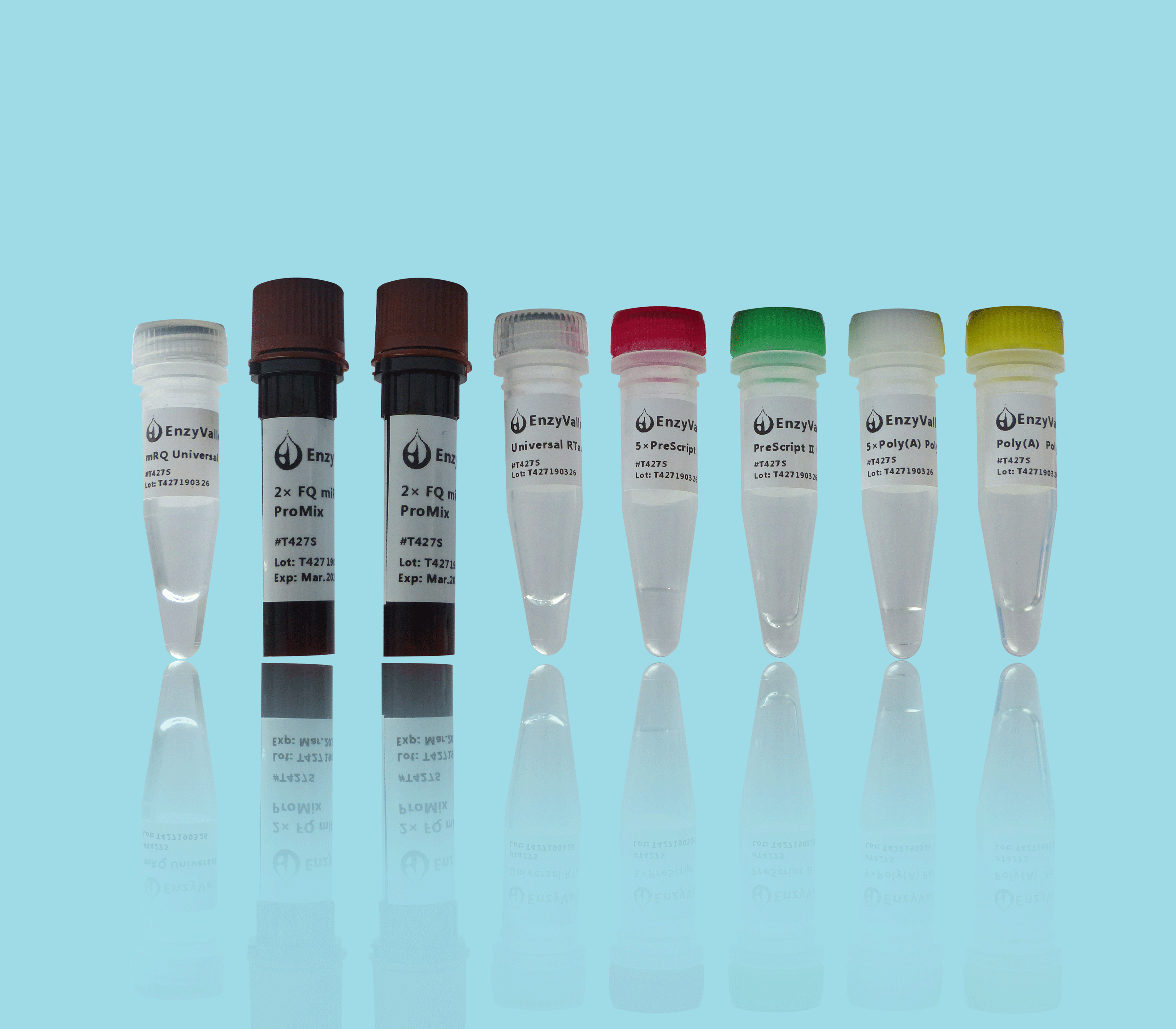 FQTM miRNA Poly(A) qRT-PCR SYBR Kit