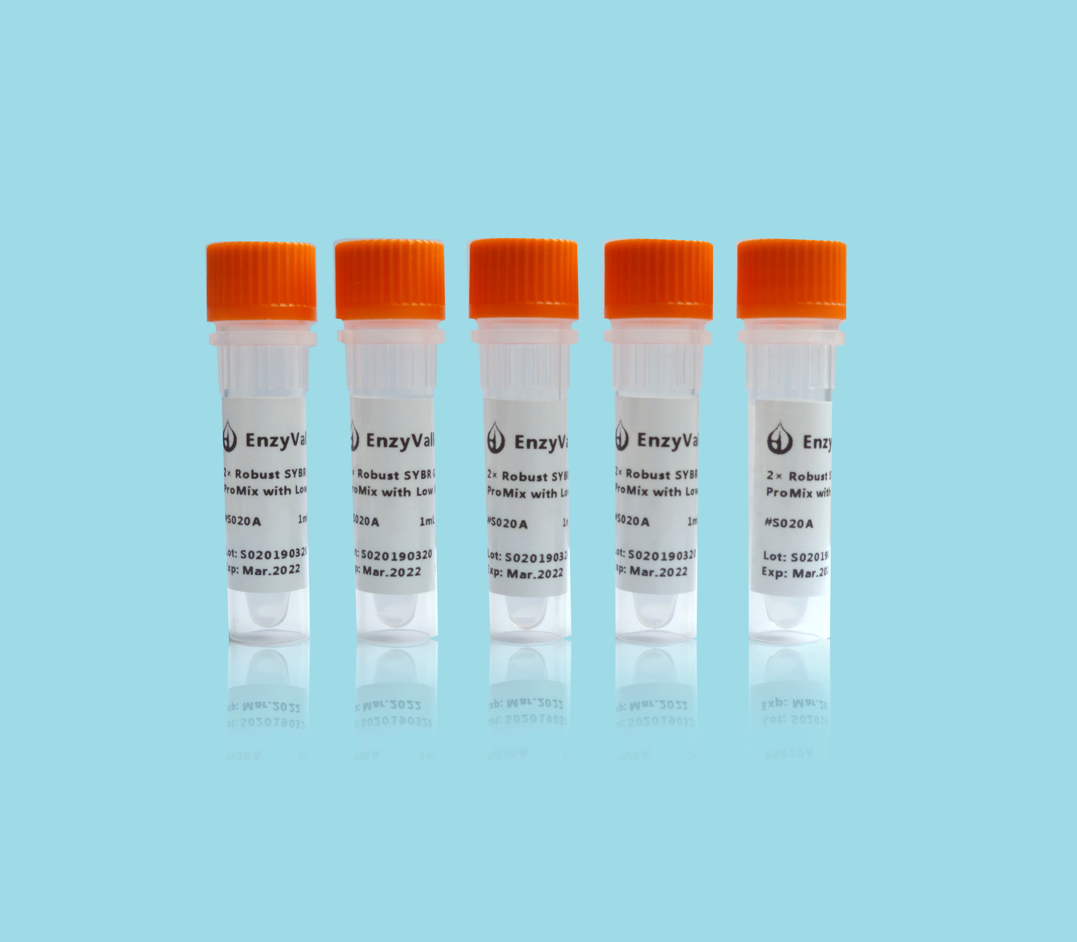 2× Robust SYBR Green qPCR ProMix with High ROX