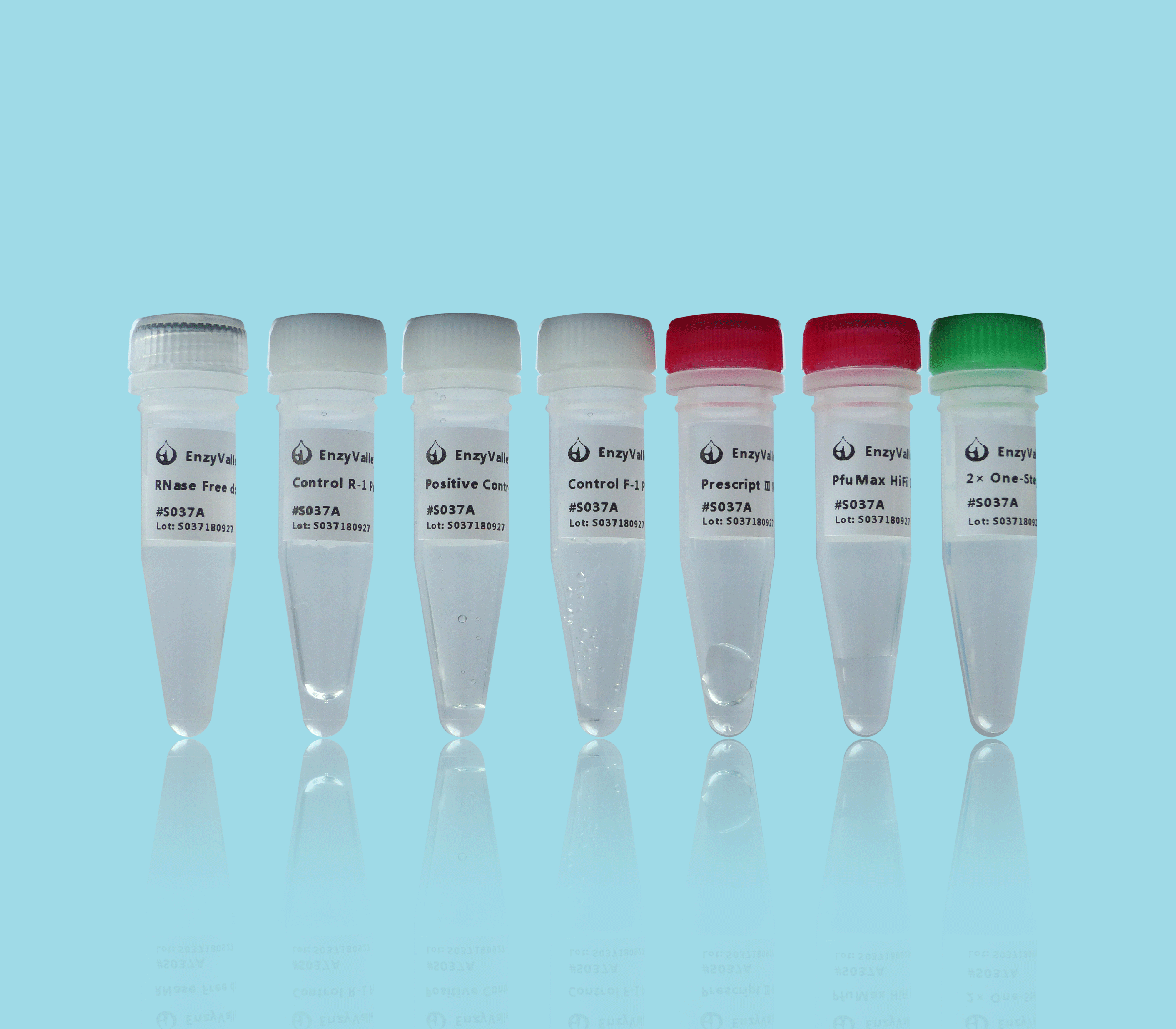 PreScript HiFi One-Step RT-PCR Kit 