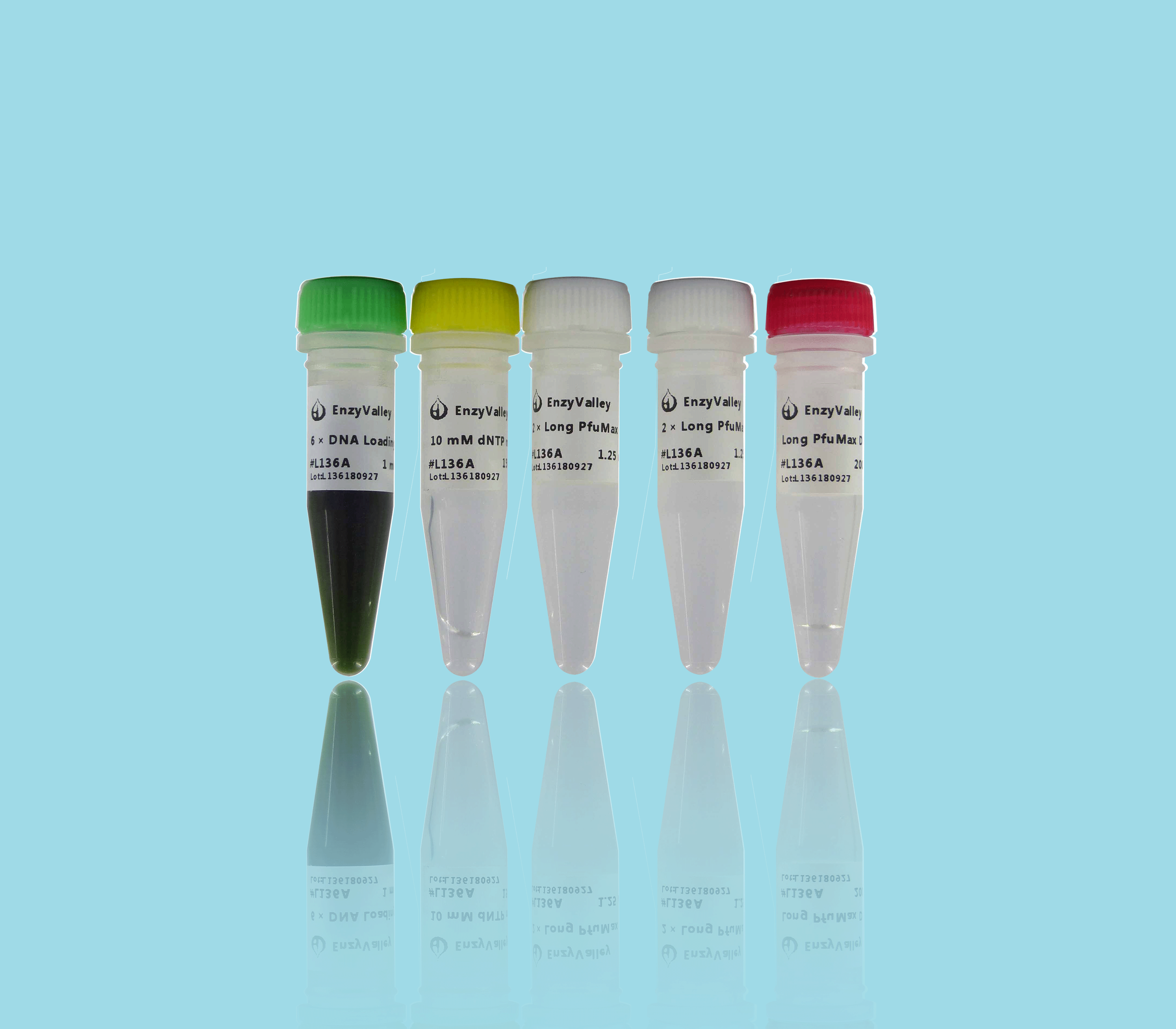 Long PfuMax DNA Polymerase