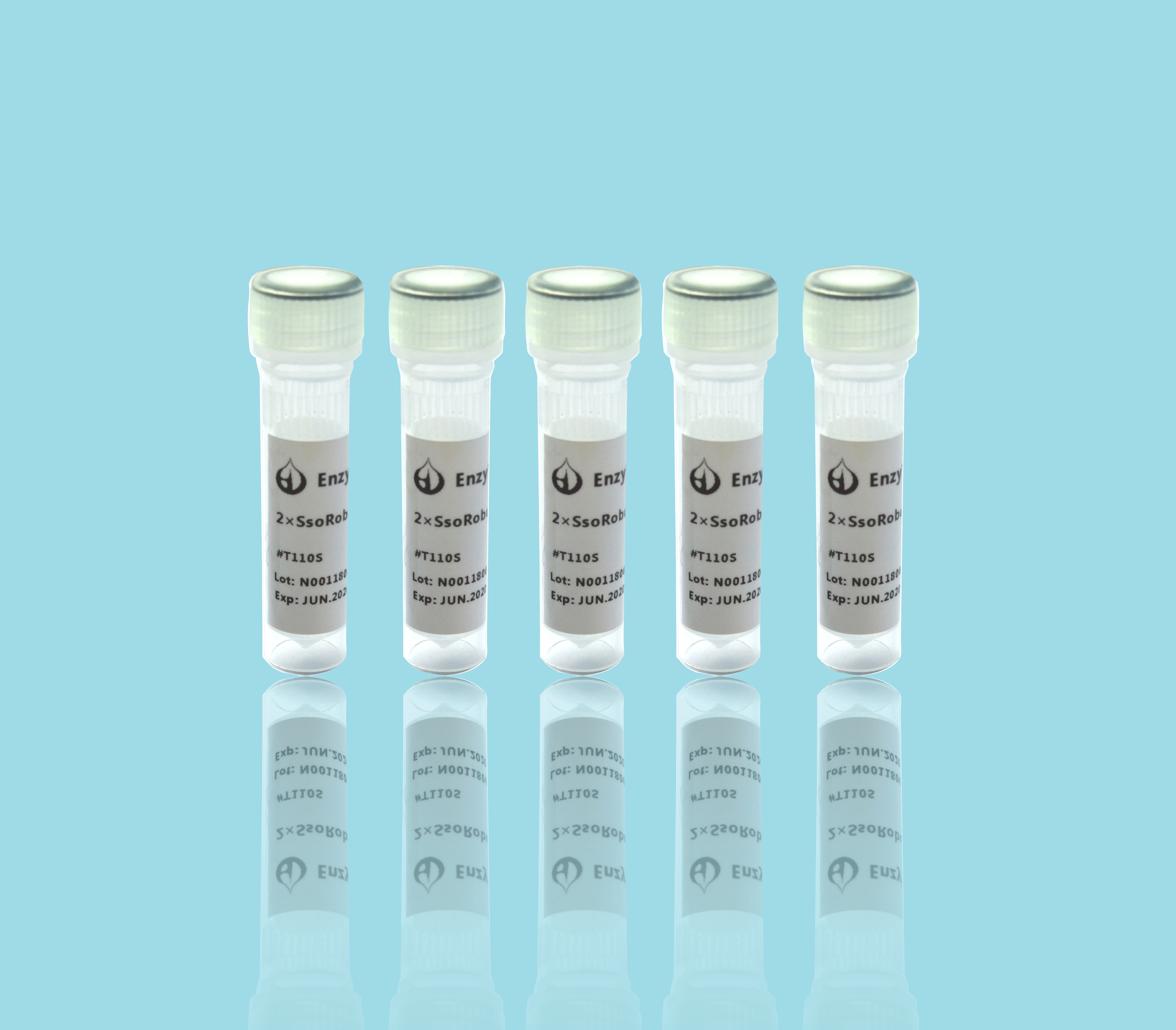 2× SsoRobust Taq PCR &nbsp;ProMix