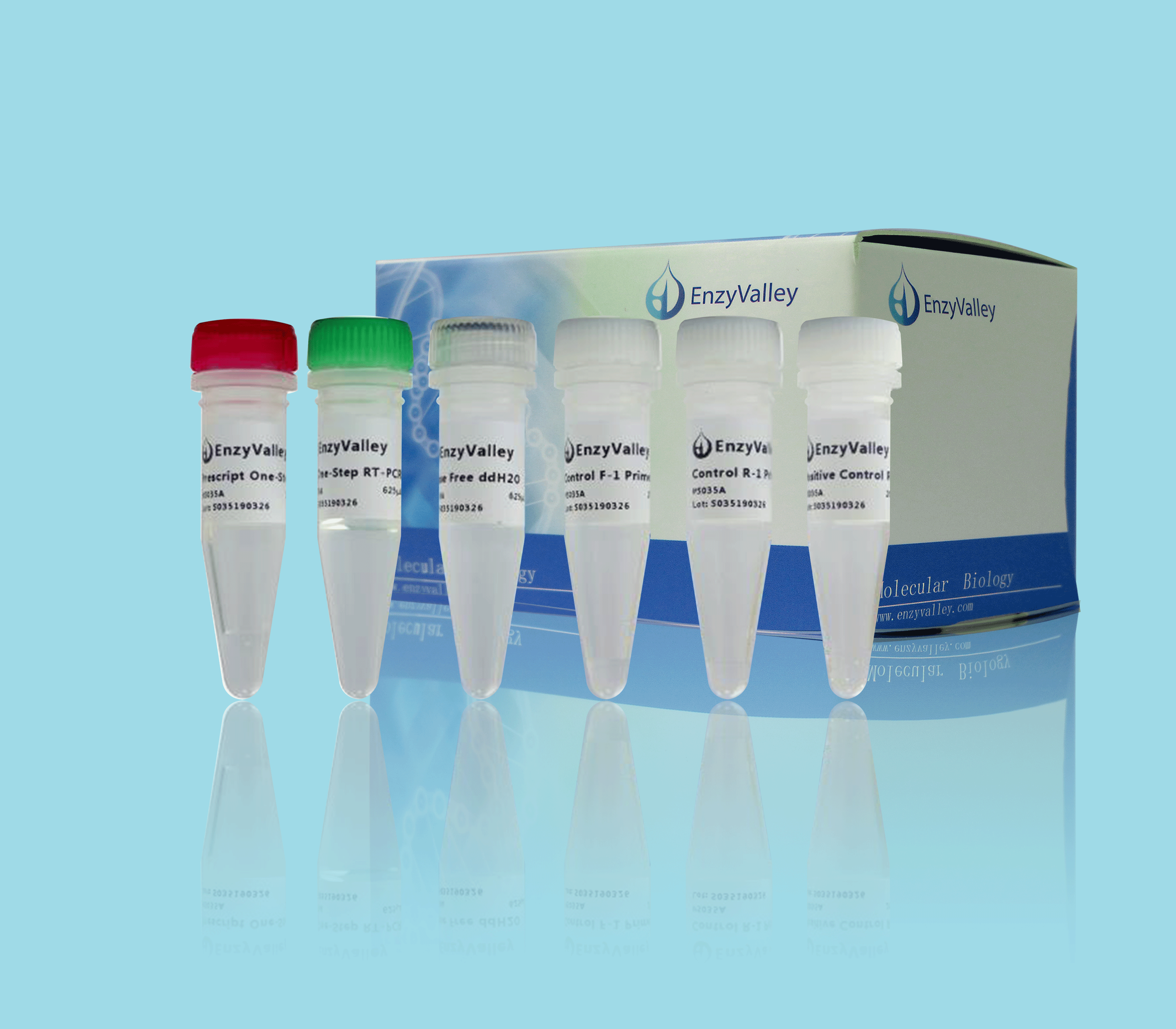 Animal Tissue Direct PCR Kit