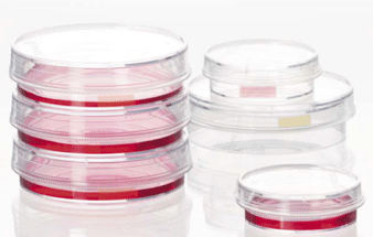 莎斯特（Sarstedt）-培養(yǎng)皿