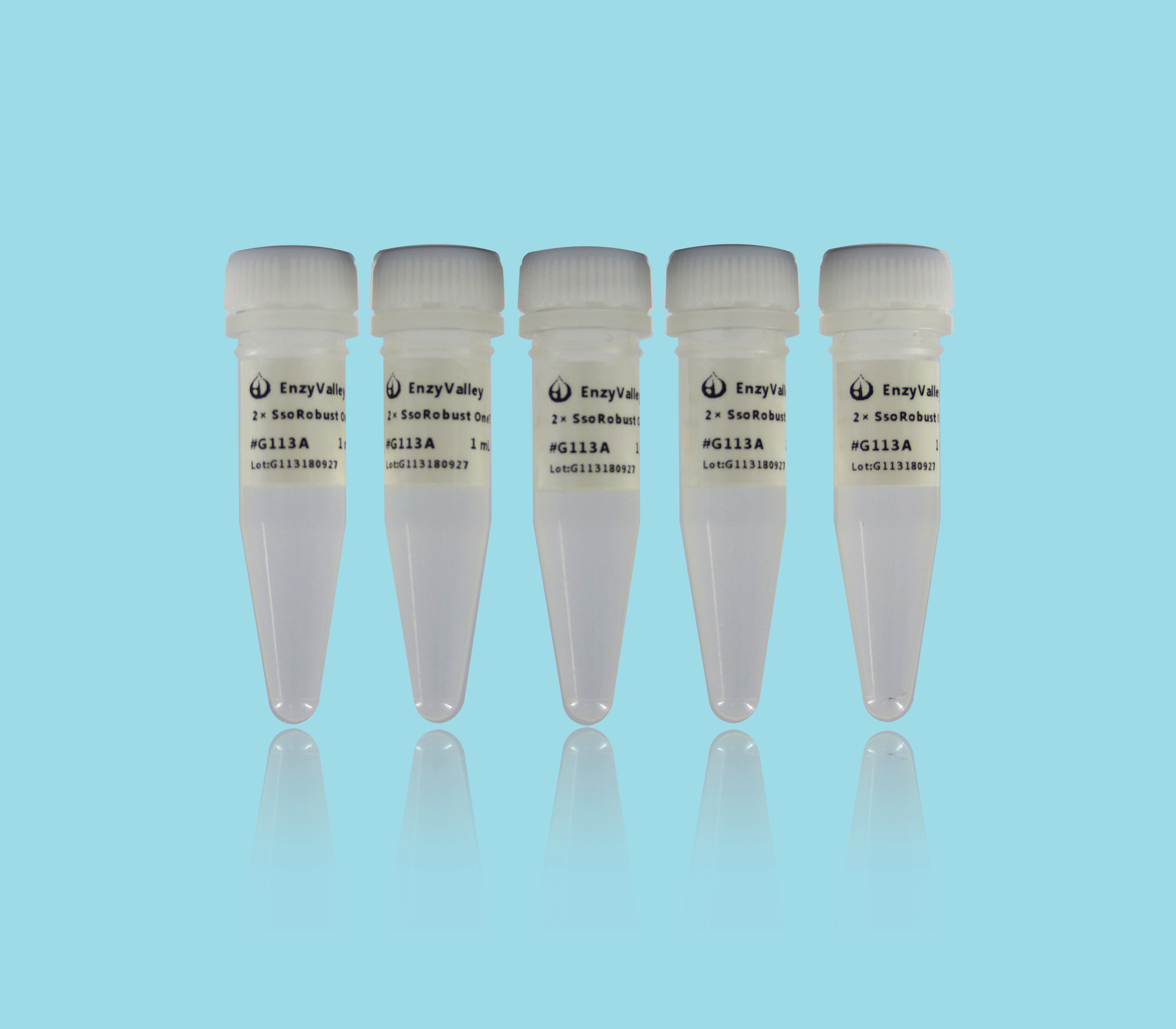 2× SsoRobust OneTaq PCR ProMix