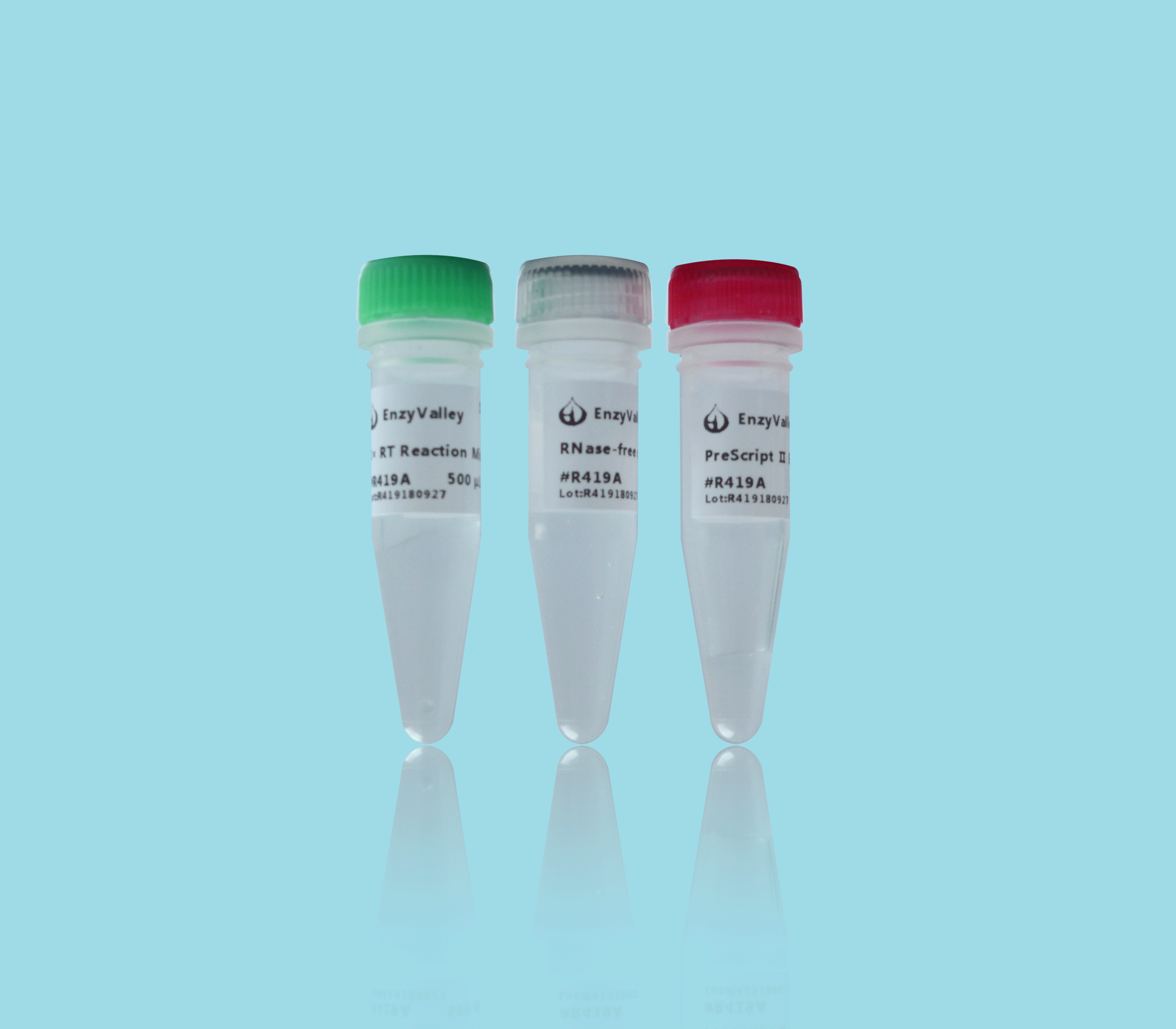 2× C-SsoRobust Green Taq PCR &nbsp;ProMix