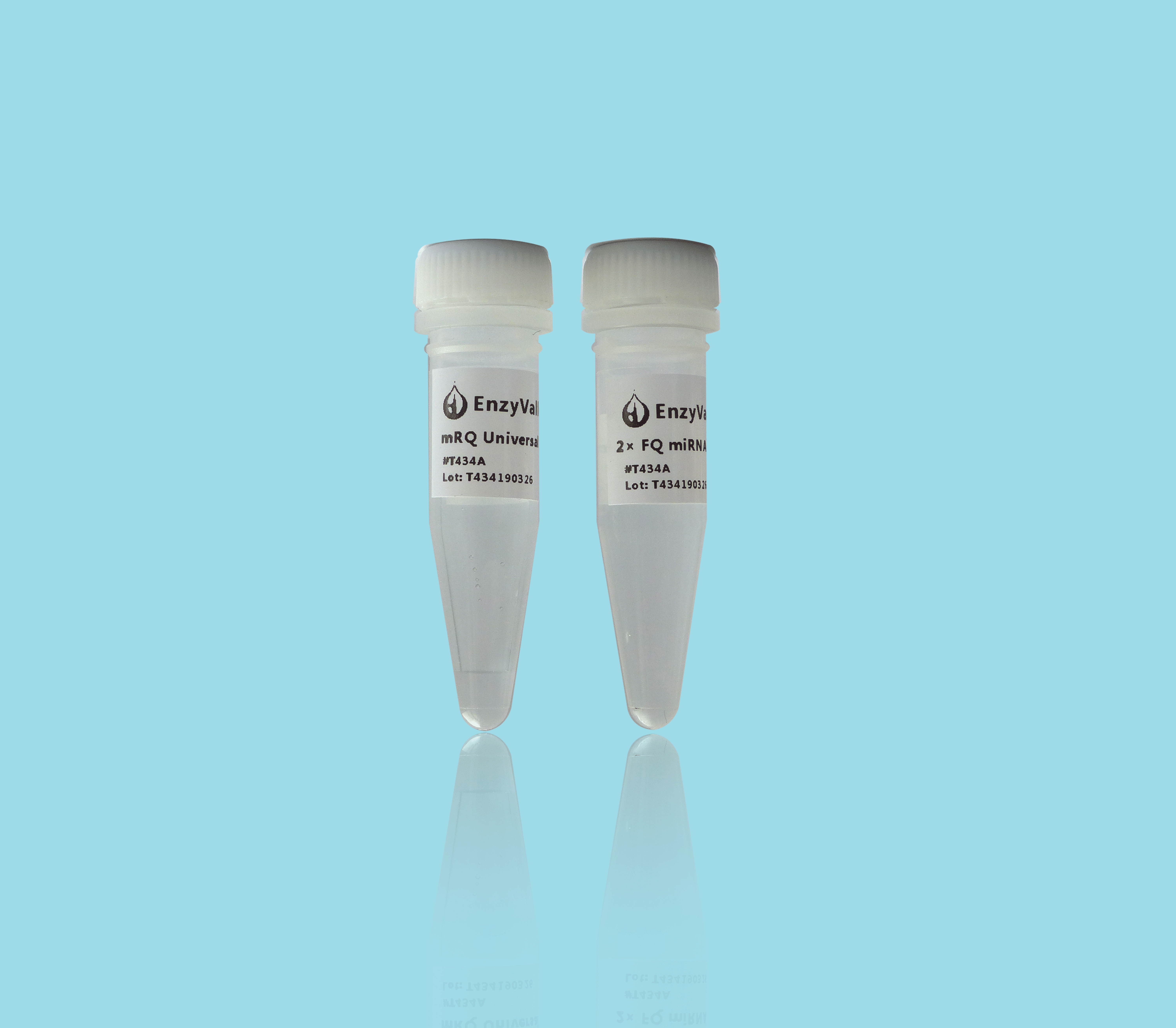 FQTM miRNA qPCR SYBR Kit