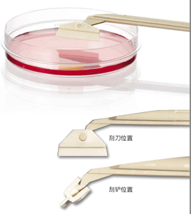 莎斯特（Sarstedt）-細(xì)胞刮刀