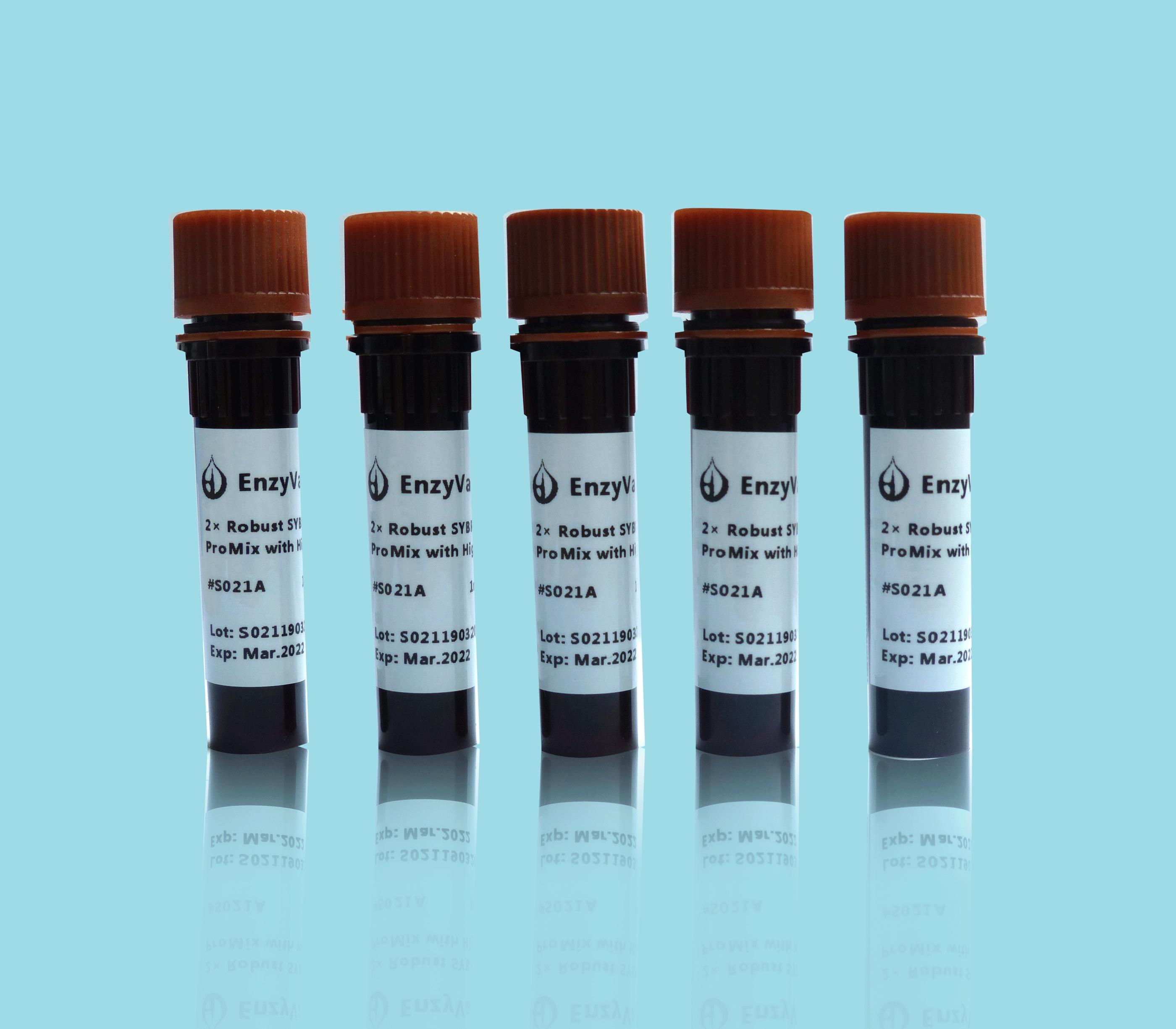 2× robust sybr green qpcr promix with high rox